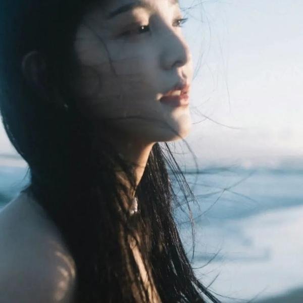 翱翔于天际的夜鹰